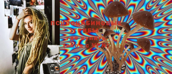 стафф Нягань