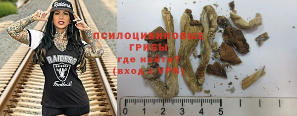 ешки Арсеньев