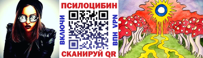 Псилоцибиновые грибы мухоморы  купить наркоту  гидра   Приморско-Ахтарск 